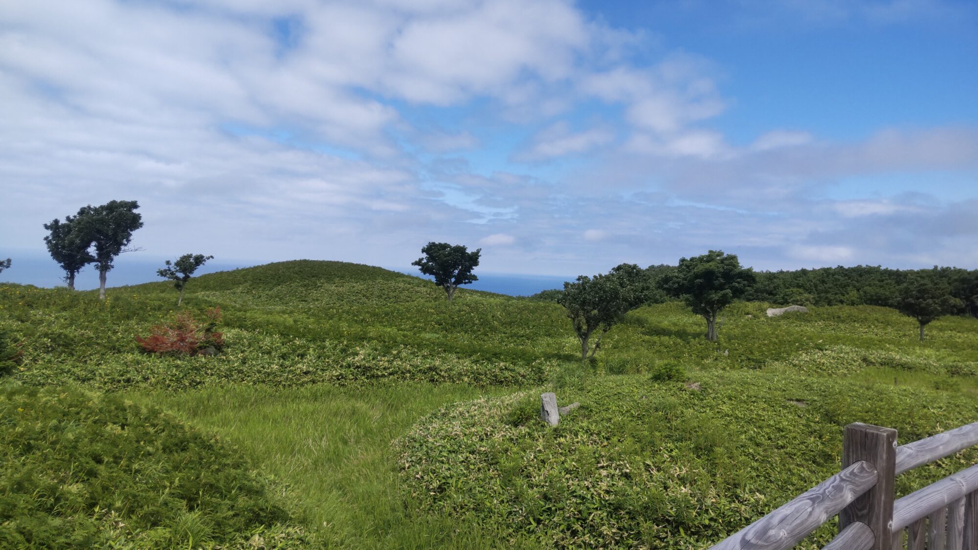 内野手量産地域